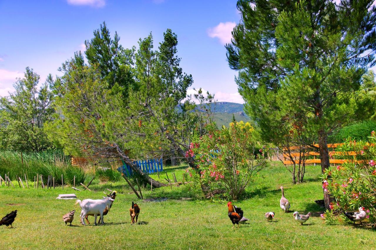 Lodge En Pays Cathare *