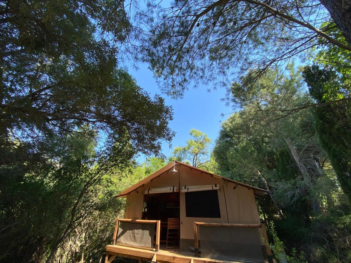Lodge En Pays Cathare *