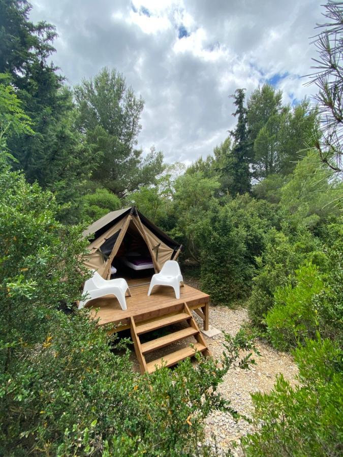 Lodge En Pays Cathare *
